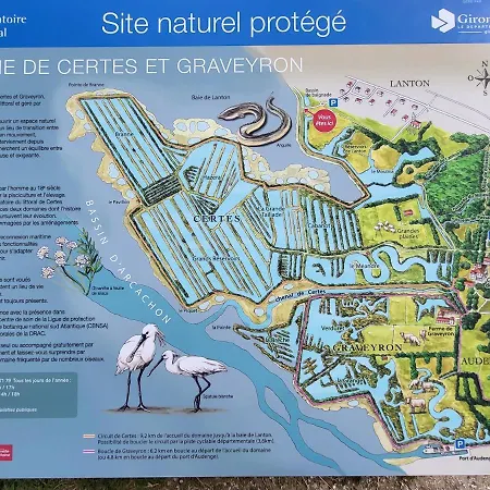 Sur Le Bassin D'arcachon