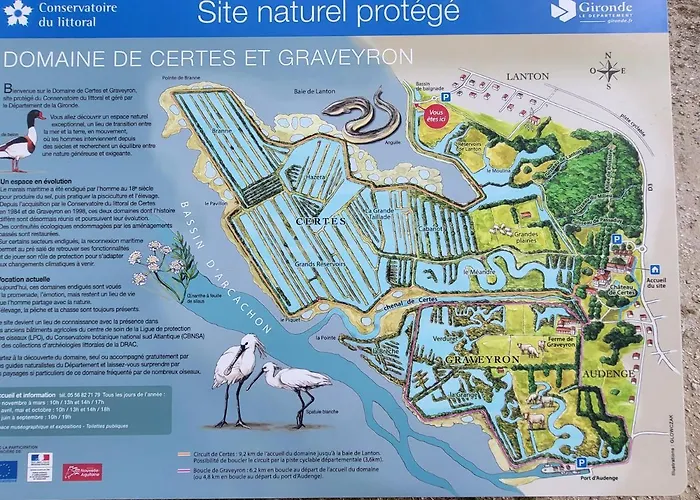 Sur Le Bassin D'arcachon